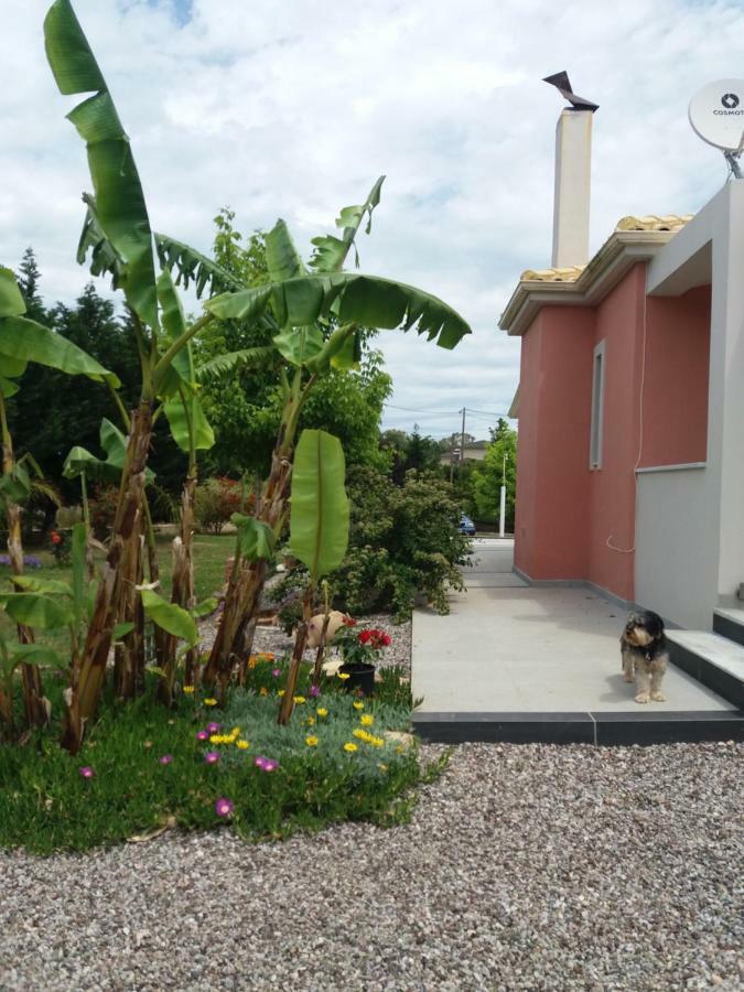 Villa The Moon House Preveza Esterno foto